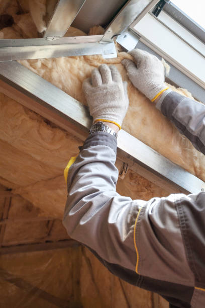 Best Insulation Installation Services in Bellevue, WA