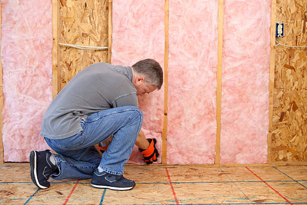 Best Insulation Maintenance and Repair in Bellevue, WA