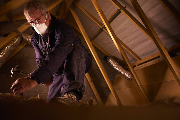 Best Insulation for Specific Applications in Bellevue, WA